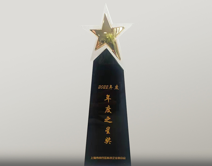 年度之星獎牌